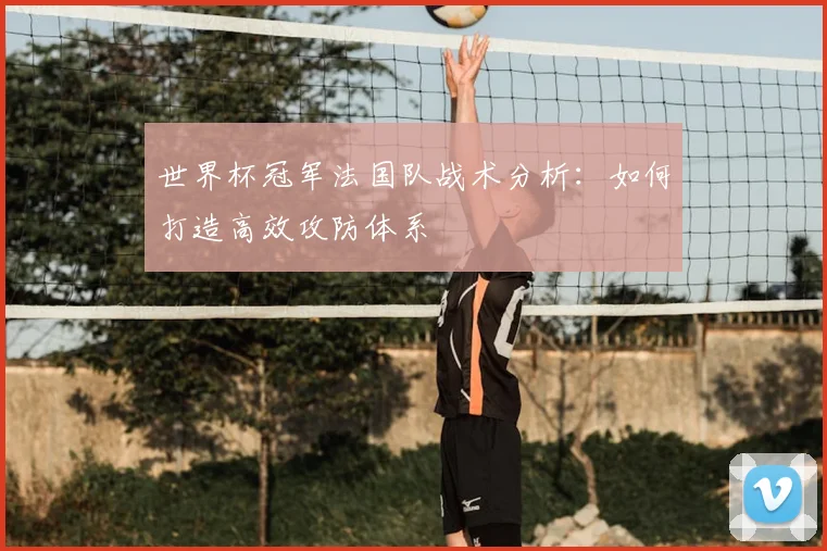 世界杯冠军法国队战术分析：如何打造高效攻防体系