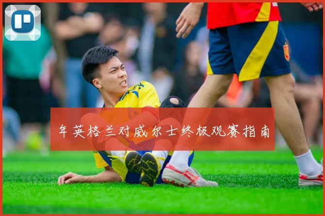 年英格兰对威尔士终极观赛指南